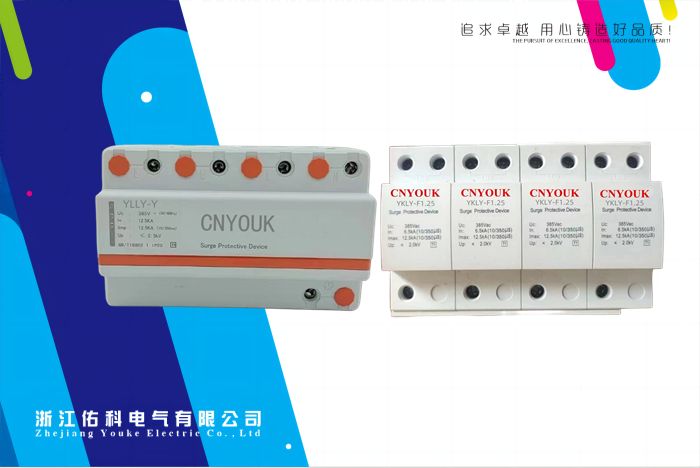 雷涌 浪涌保護(hù)器 YKLY-F(Y) 浪涌保護(hù)器 標(biāo)準(zhǔn)型